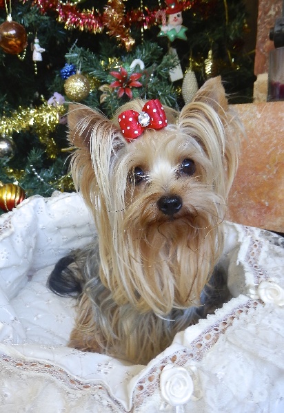 Girl-french du clos de faurilles