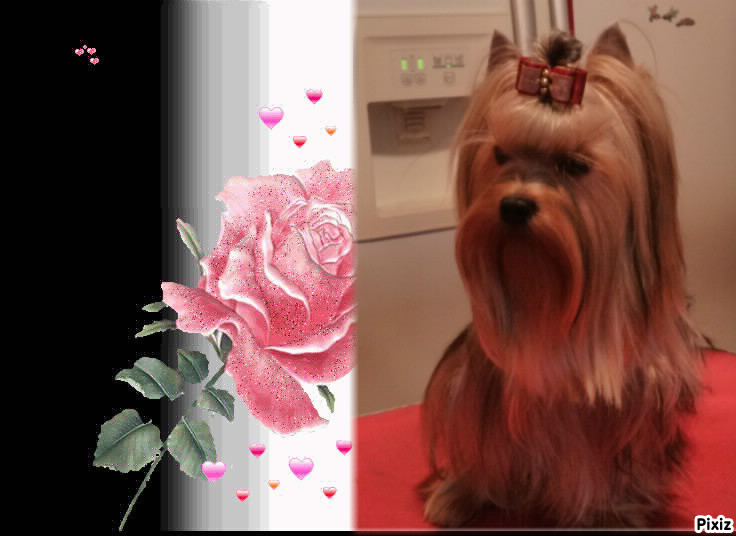 Holiday-nice du clos de faurilles